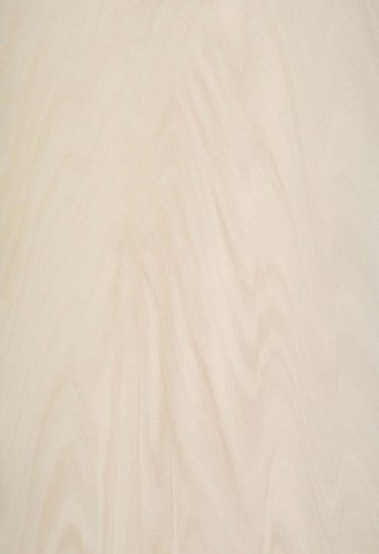Neolith Fusion Arena