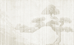 Fototapeta Wall and more Bonsai 2405 21A