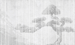 Fototapeta Wall and more Bonsai 2406 22B