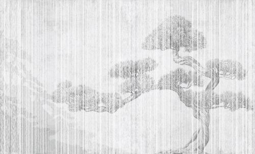 fototapeta-wall-and-more-bonsai-jasnoszara.jpg