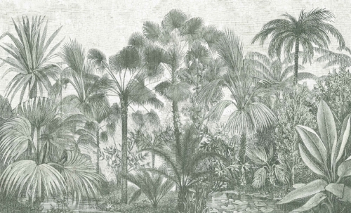fototapeta-wall-and-more-borneo-palmy.jpg
