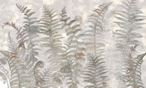 fototapeta-wall-and-more-carpathia-paprocie.jpg