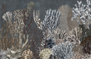 Fototapeta Wall and more Coral 2412 13B