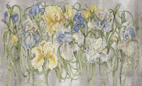 fototapeta-wall-and-more-iris-irysy.jpg