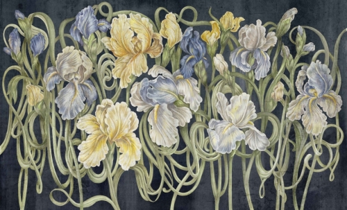 fototapeta-wall-and-more-iris-ciemne-tlo.jpg