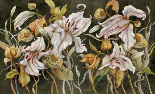fototapeta-wall-and-more-lily-ciemne-tlo.jpg