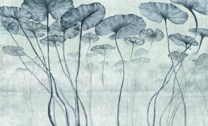 Fototapeta Wall and more Lotus 2434 23B