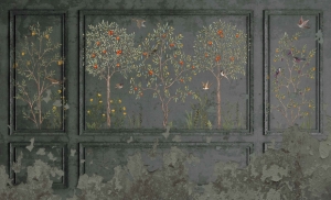 Fototapeta Wall and more Orchadia 2497 17B