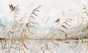 Fototapeta Wall and more Pampa 2457 26A