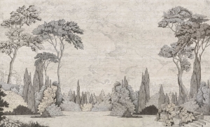 Fototapeta Wall and more Parma 2458 21A