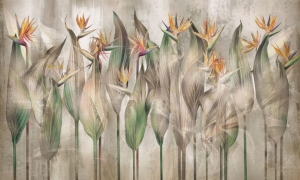 Fototapeta Wall and more Sterlicia 2471 21A