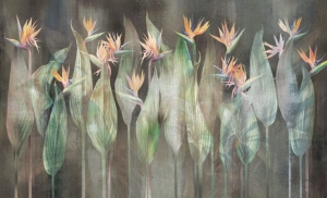 Fototapeta Wall and more Sterlicia 2472 27B