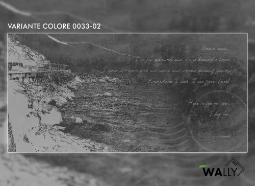 VARIANTE COLORE 02.png