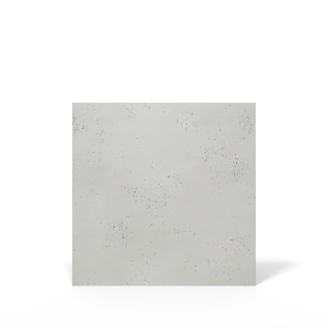 VHCT Beton architektoniczny 2D Classic PB00 100x100x2 cm