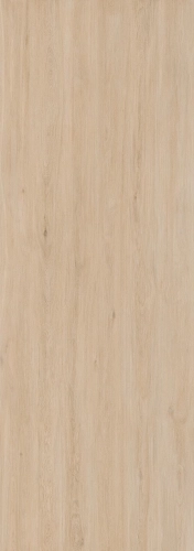 enoki-ki-no-bi-0.jpg
