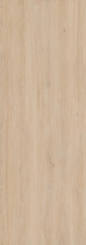 enoki-ki-no-bi-2.jpg