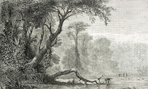 Grafika-Metalic-Art-Cisza-natury.jpg