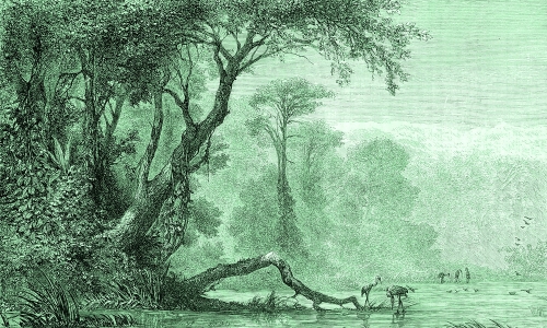 Grafika-Metalic-Art-Cisza-natury.jpg