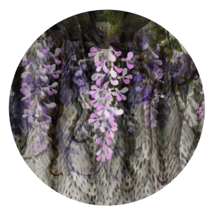 Grafika Metalic Art Dots Dzika wisteria KK20231004