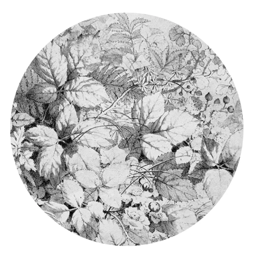 Grafika-Metalic-Art-Dots-Kwietne-freski.webp