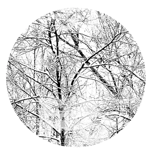 Grafika-Metalic-Art-Dots-Zimowe-drzewa.webp