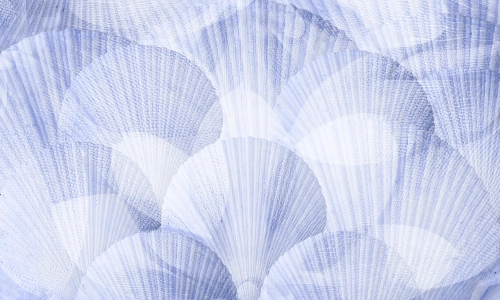 Tapeta-Metalic-Art-Muszle.webp