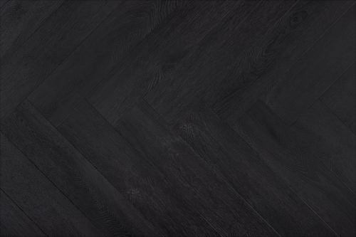 Lion-L008-Fomo-min.jpg
