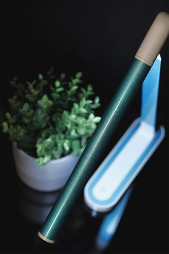 Lampka biurkowa K-MT-206 ZIELONY z serii NIKO