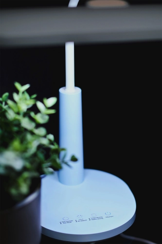 Lampka biurkowa K-BL1521 NIEBIESKI z serii MILO