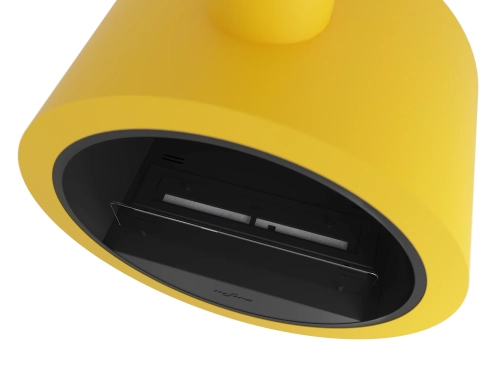 yellow-2-1.webp