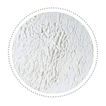 Aqua Zone.webp