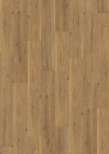 OFR-030-005N_Frontal-scaled.jpg