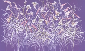 Tapeta Wonderwall  Flourish 35 0349 07