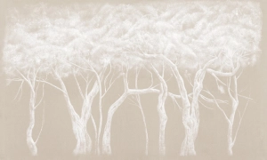 Tapeta Wonderwall  Salve 35 0579 02