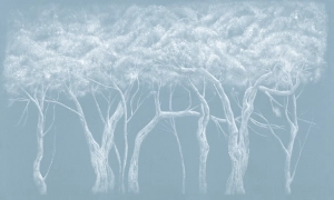 Tapeta Wonderwall  Salve 35 0579 03