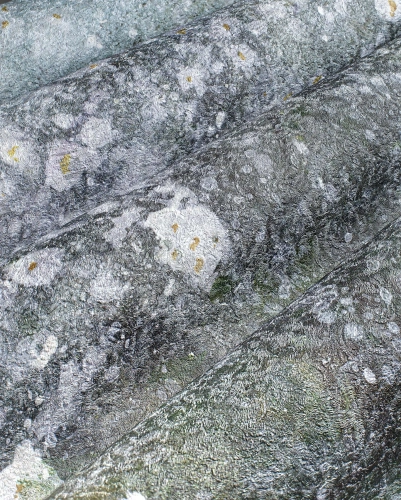 Tapeta-Wonderwall-Sparks.wepb