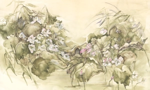 Tapeta Wonderwall  Verde 35 0345 08