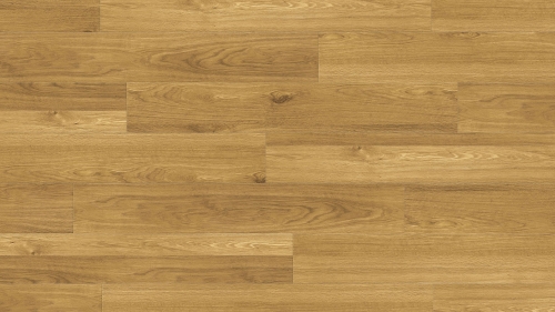 MV-008 Oak TEKSTURA ZOOM_2 XS.jpg
