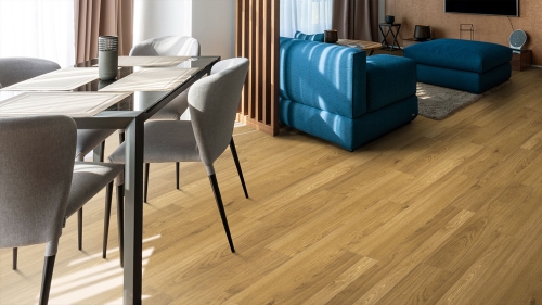 MV-008 Oak ARANŻ XS.jpg