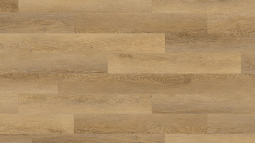 MV-015 Beech TEKSTURA ZOOM_1 XS.jpg