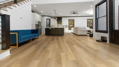 MV-015 Beech ARANŻ XS.jpg