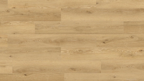 MS-008 Golden Oak TEKSTURA ZOOM_2 XS.jpg