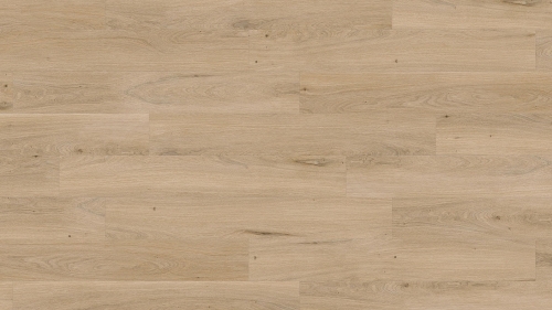 MS-009 Rustic Oak TEKSTURA ZOOM_1 XS.jpg