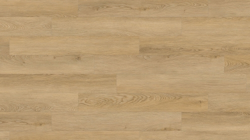 MS-010 Sessile Oak TEKSTURA ZOOM_1 XS.jpg
