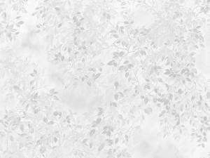 Grafika WallCraft Grisali 1065 32 2501