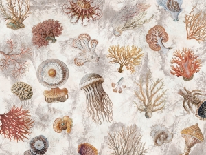 Grafika WallCraft Oceana 1055 31 2501