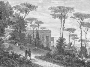 Grafika WallCraft Rosae 920 31 2402