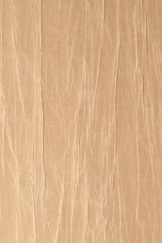 Tapeta Arte  Emblème Pyxis Ginseng A38005A zdjęcie produktu