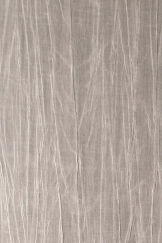 Tapeta Arte  Emblème Pyxis Oyster 38011A