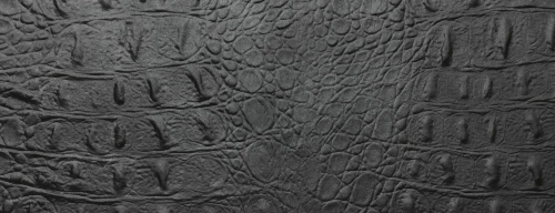SL-CROCO-CLASSY-Black_D-1920x740.jpg